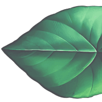 Top Right Decorative Element